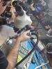 antminer s21 repair nyc